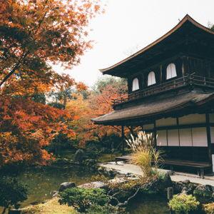Our Honeymoon in Japan