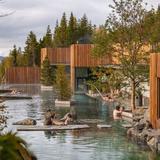 Forest Lagoon