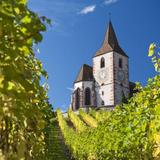 Route des Vins d'Alsace