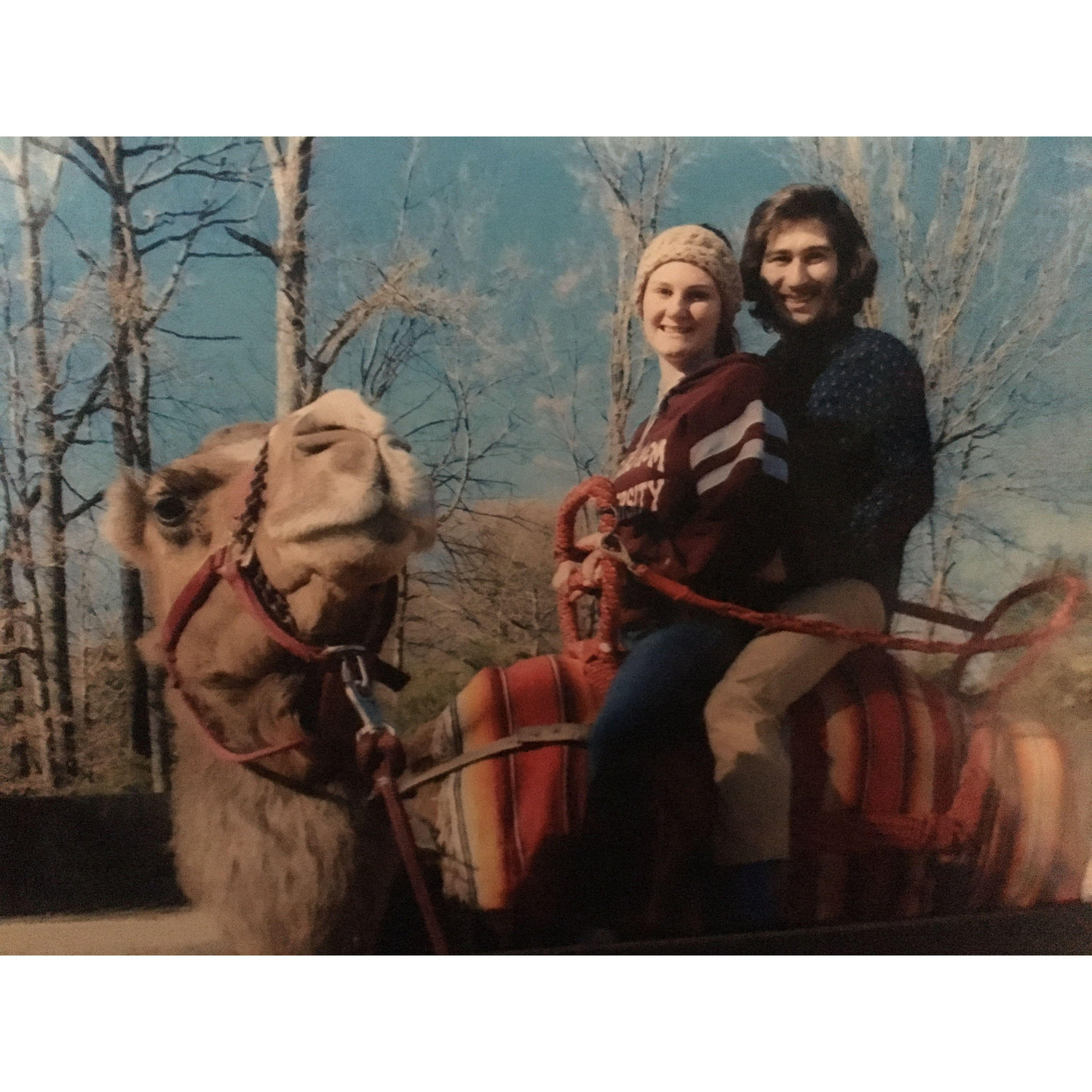 Camel riding at the Memphis Zoo