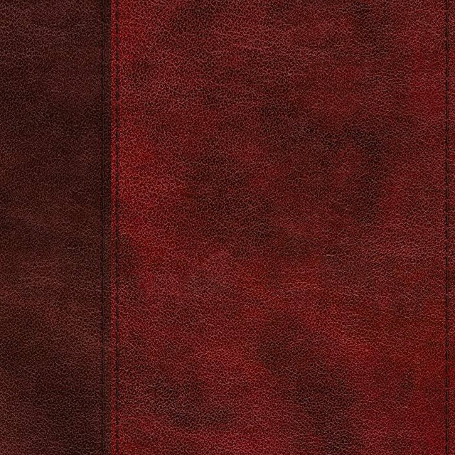 ESV Single Column Journaling Bible, Large Print (TruTone, Burgundy/Red, Timeless Design)