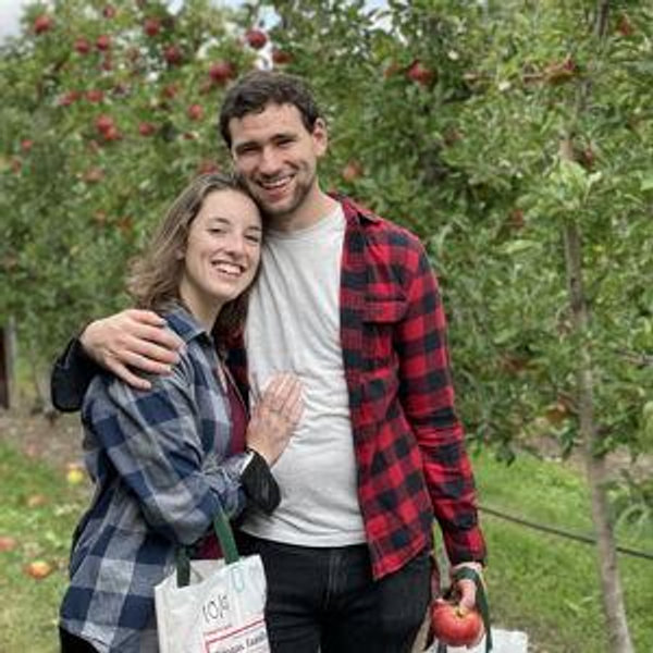 Apple Trees