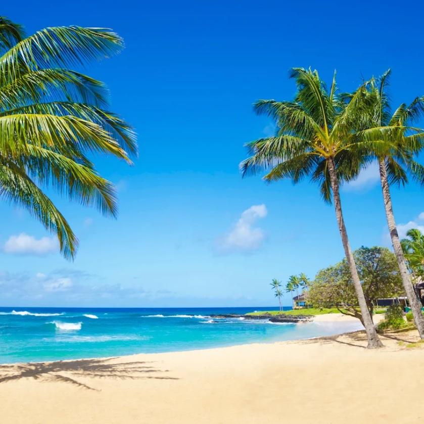 Our Hawaii Honeymoon Fund
