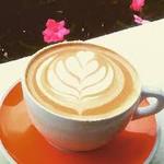 Sweet Donkey Coffee