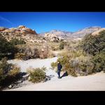 Red Rock Canyon National Conservation Area