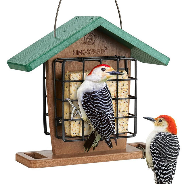Kingsyard Recycled Plastic Double Suet Feeder with Rainproof Roof & Perch, Cage Suet Bird Feeders for Outdoors Hanging, Great for Woodpecker, Chickadee, Nuthatch (Green)