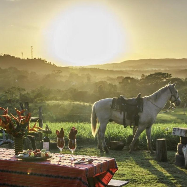Honeymoon | Horseback Wine and Cheese Sunset Experience