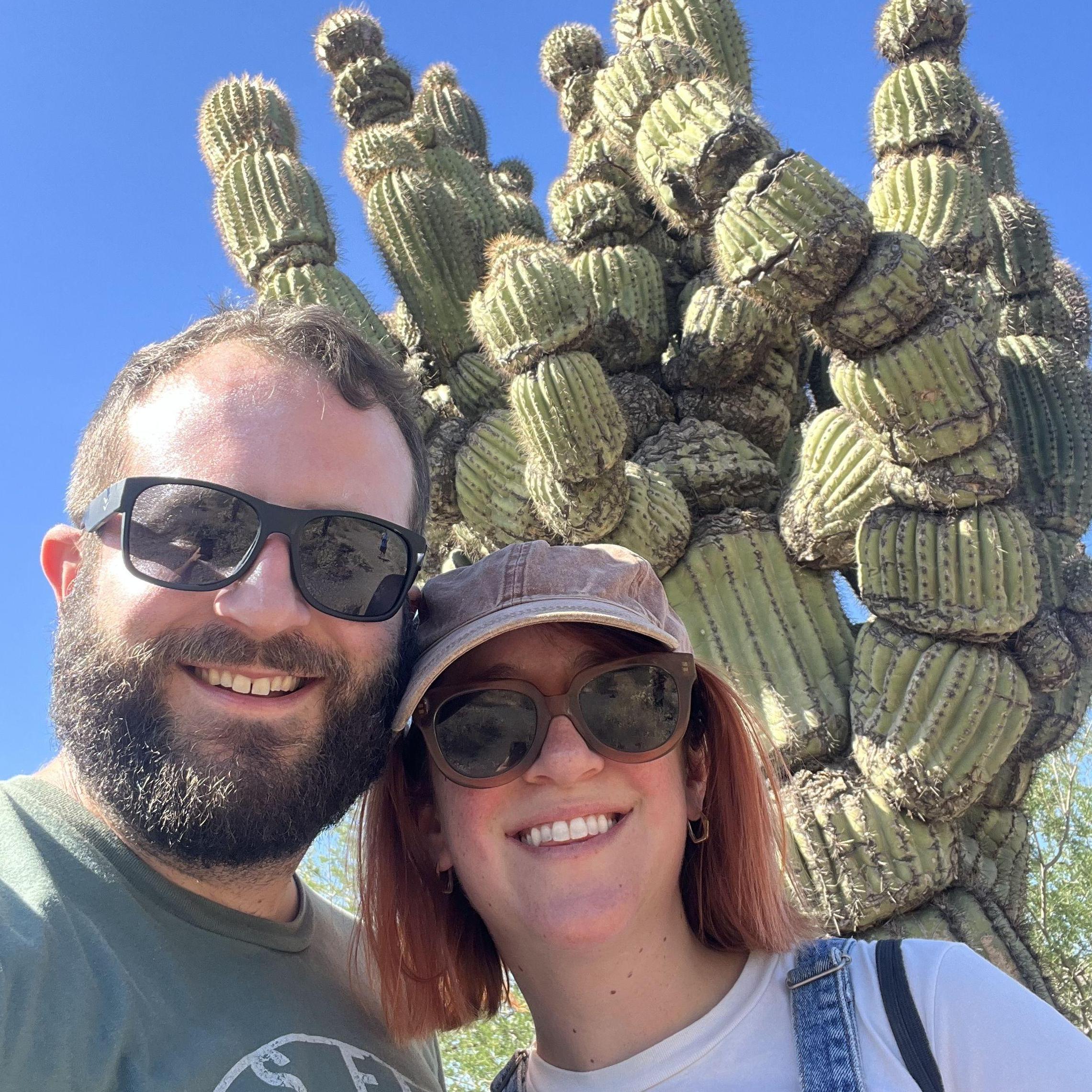 Michelin Man Cactus