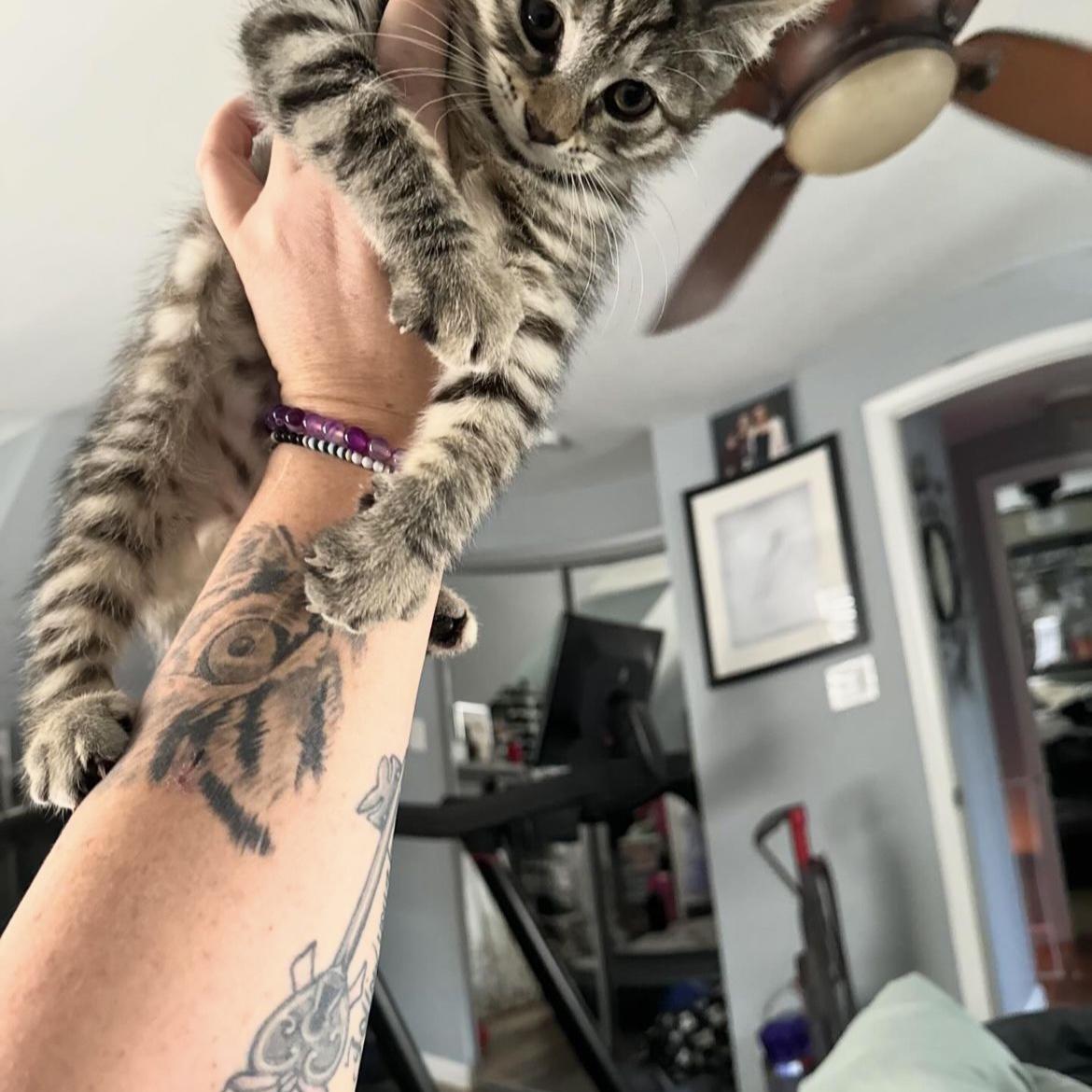 baby frankie. i could cry.