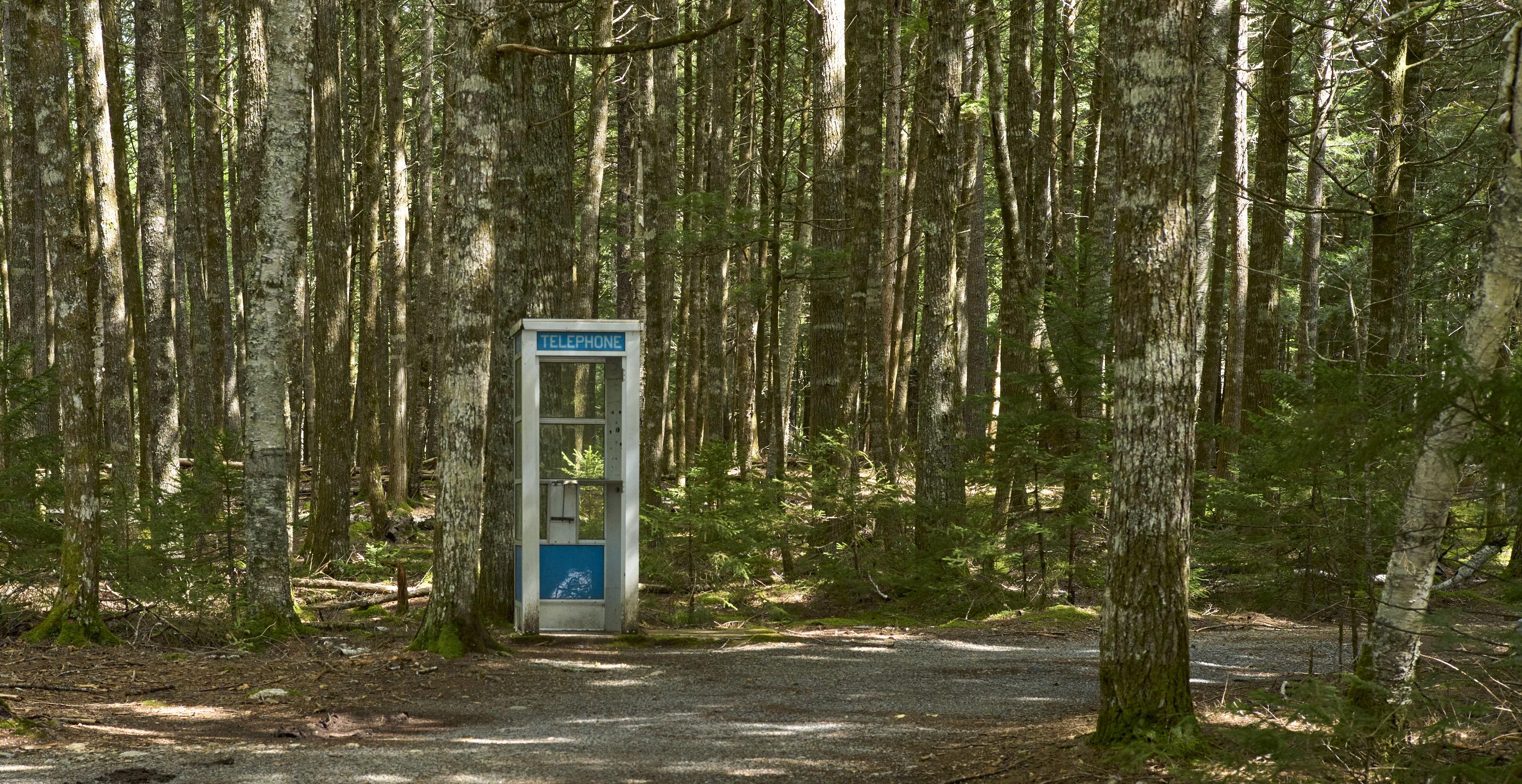 The Wedding Website of Chelsea Behrens and Alonzo Maciel