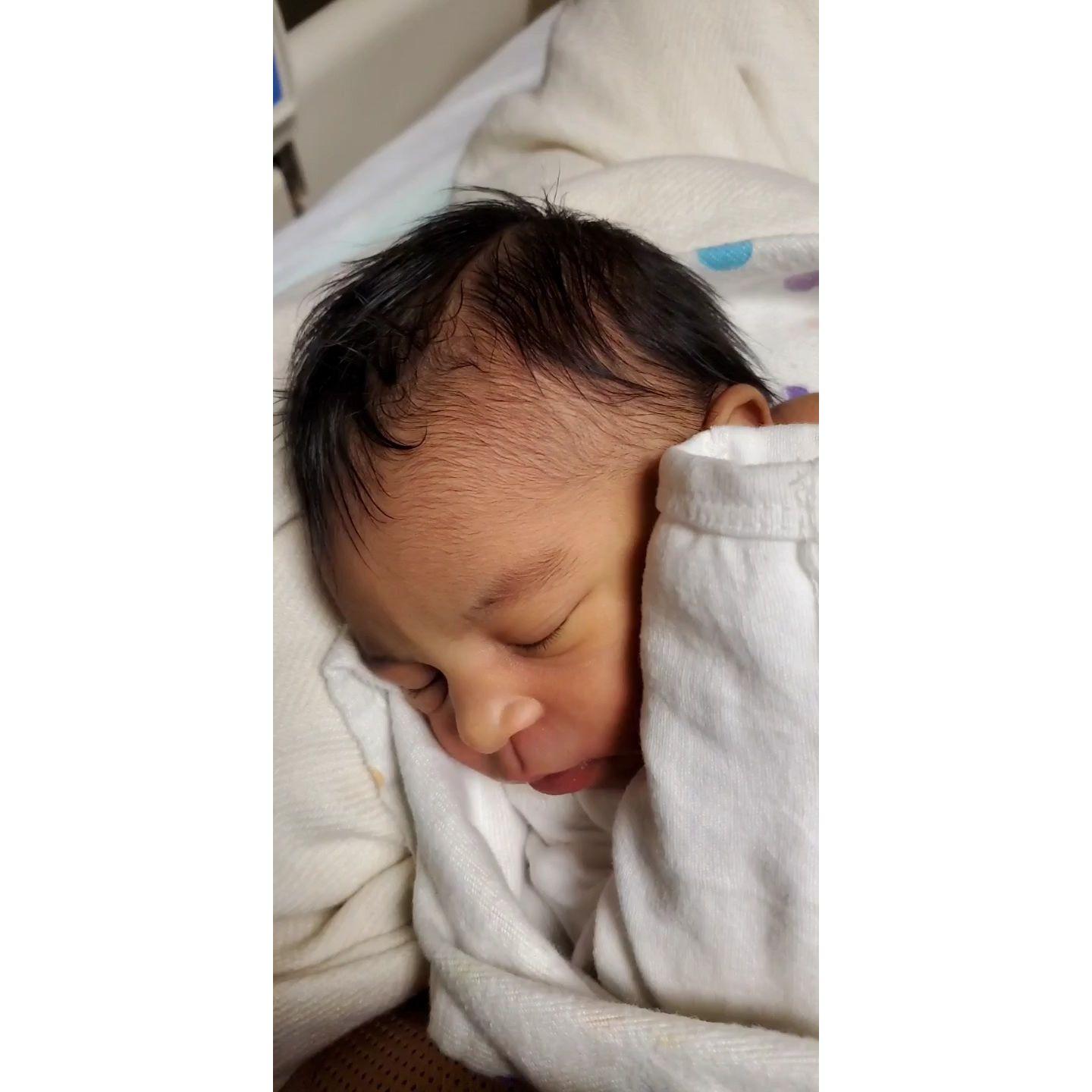 Baby Seychelles