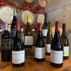 Amaterra Barrell Room Tasting