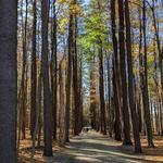 Saratoga Spa State Park