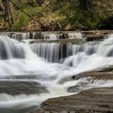 Hike at the MetroParks