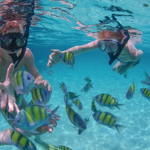 Snorkeling and Sailing