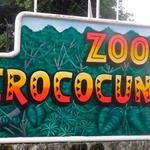 Croco Cun Zoo