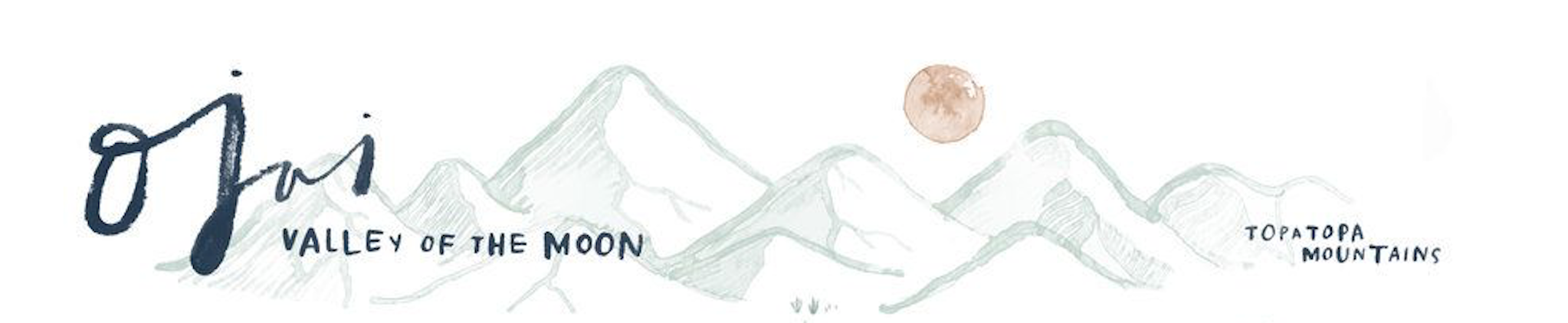 The Wedding Website of Alejandra Villa and Derek M. Cooper