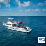Islamorada Dive Center