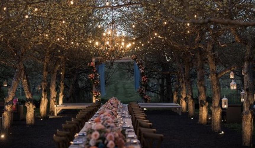 The Wedding Website of Jess Simpson and Brian Dinneny