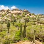 Arikok National Park