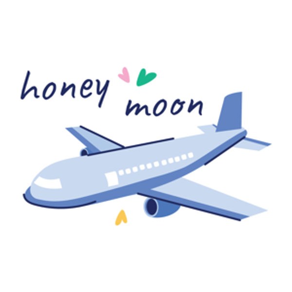 Our Honeymoon Fund