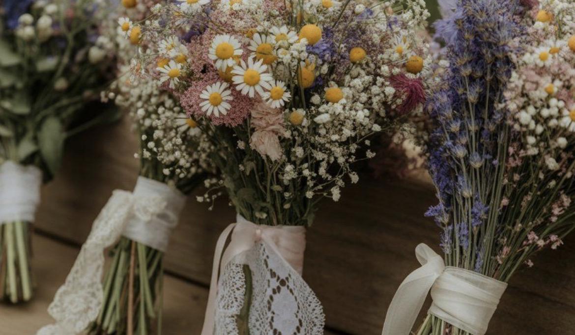 The Wedding Website of Nicole Sullivan and Jeff Nichols