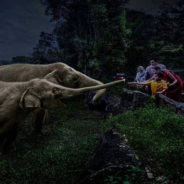 Night Safari Tickets in Singapore