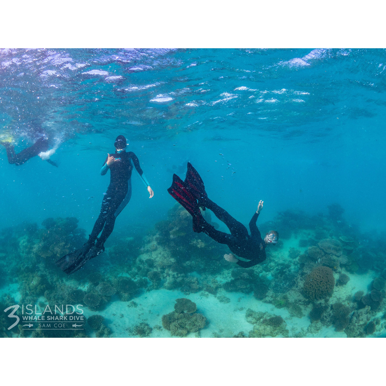 Sharing our passion for the ocean