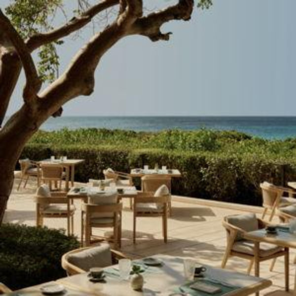 Honeymoon Dinner For Two