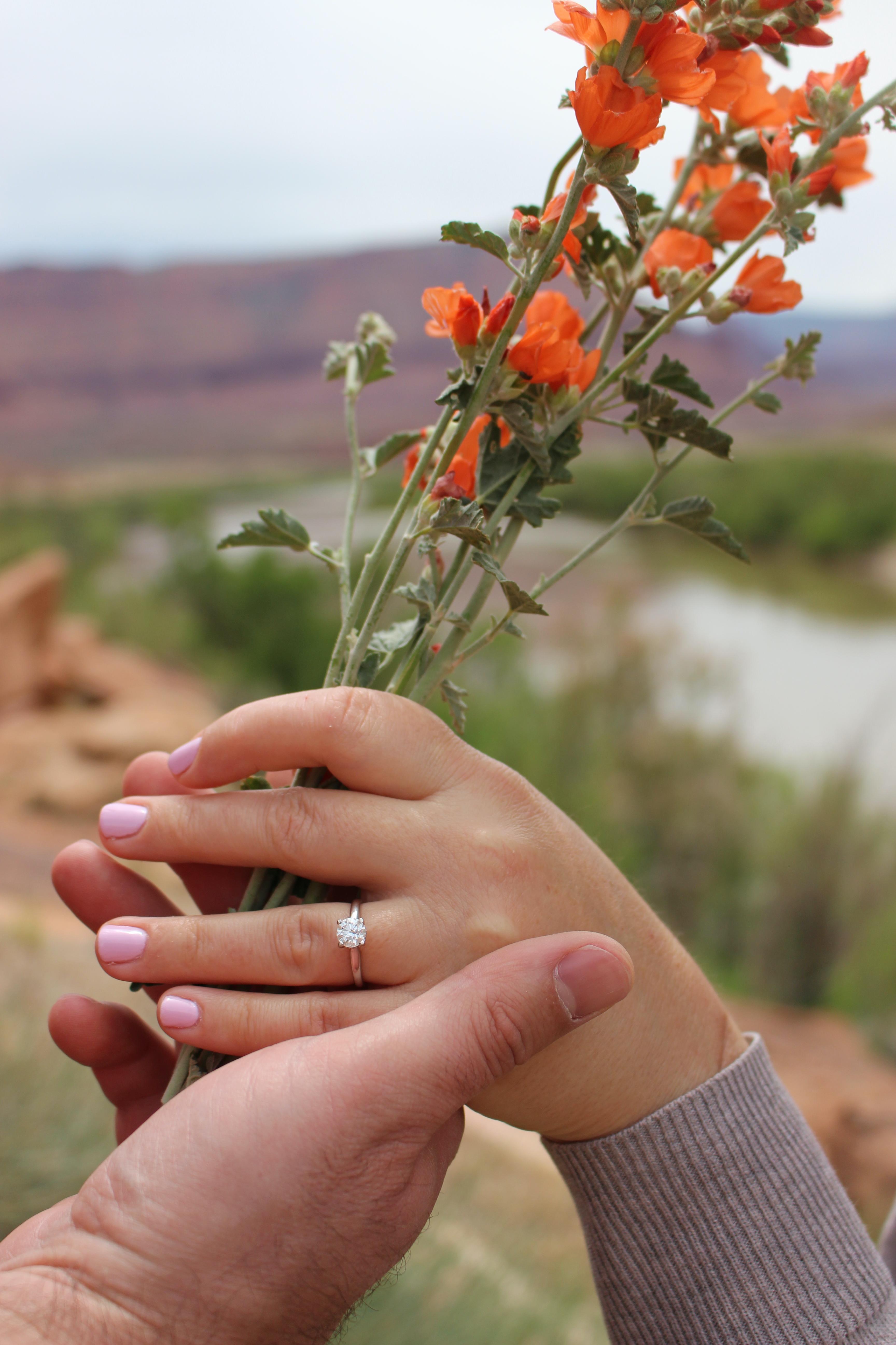 The Wedding Website of Jennifer Egger and David Ruehle