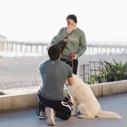 When Jonathan proposed