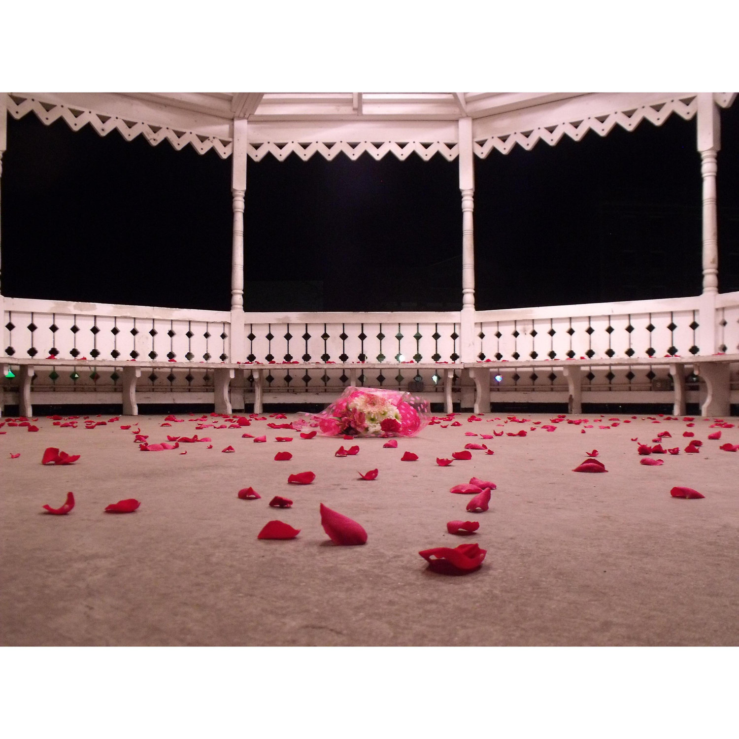 The proposal: We walked into this gazebo covered in flower petals and tealight candles. I saw the bouquet in the middle of the floor and I knew this was it! He was going to pop the question!
