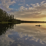 Lake Louisa State Park