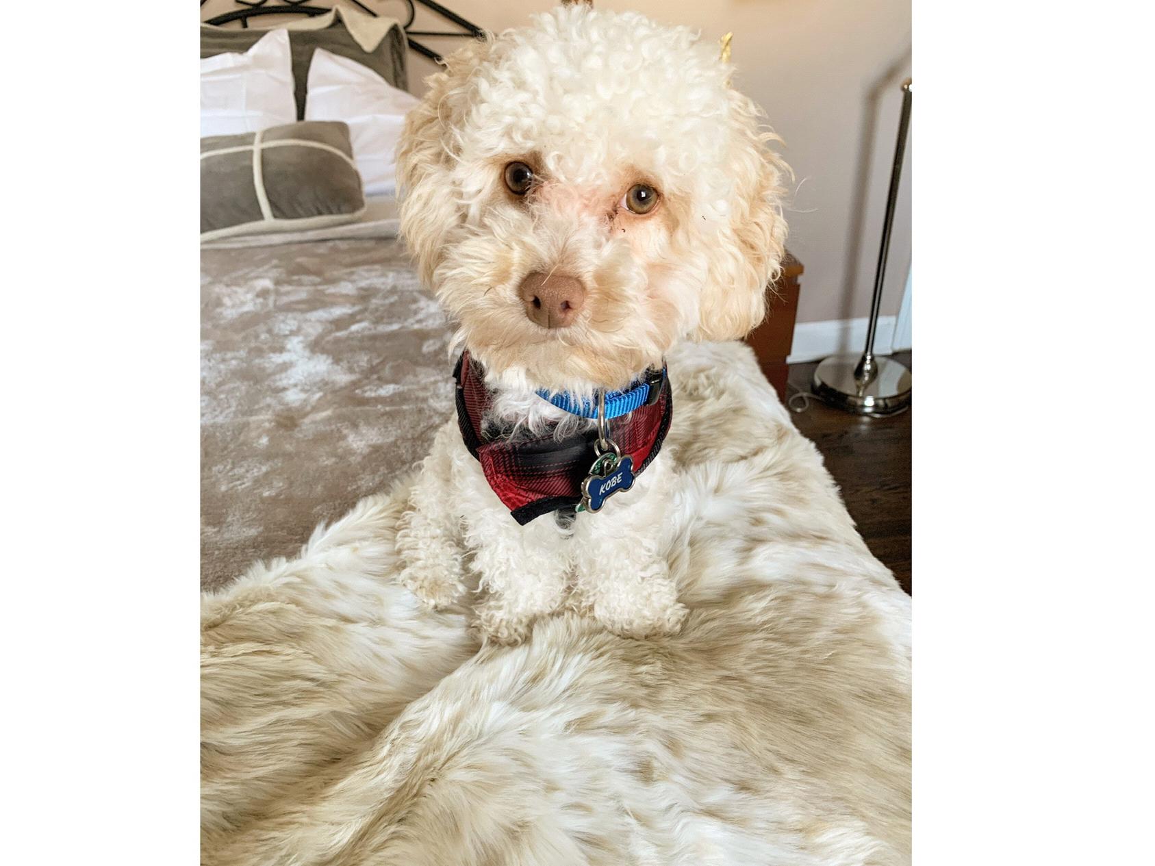 The Wedding Website of Jeniffer Saravia and Frank Canova