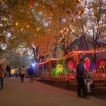 Vala's Pumpkin Patch & Apple Orchard