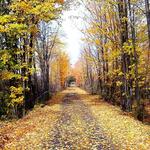 Catskill Scenic Trail