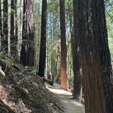 Hike - Dawn Falls Trail