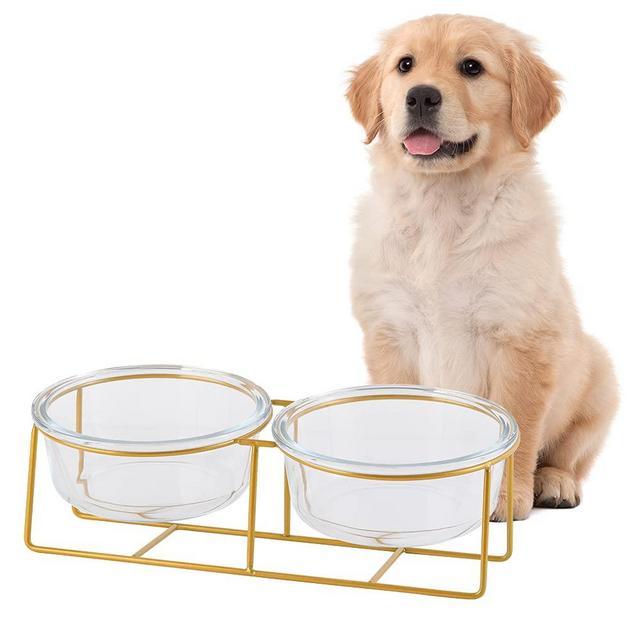 Large Double Elevated Dog Bowls - Raised Dog Bowl - Glass Dog Cat Bowl Set for Food and Water - Pet Comfort Feeding Bowls with Gold Iron Stand