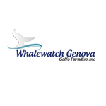 Whalewatch Genova
