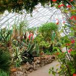 Krohn Conservatory