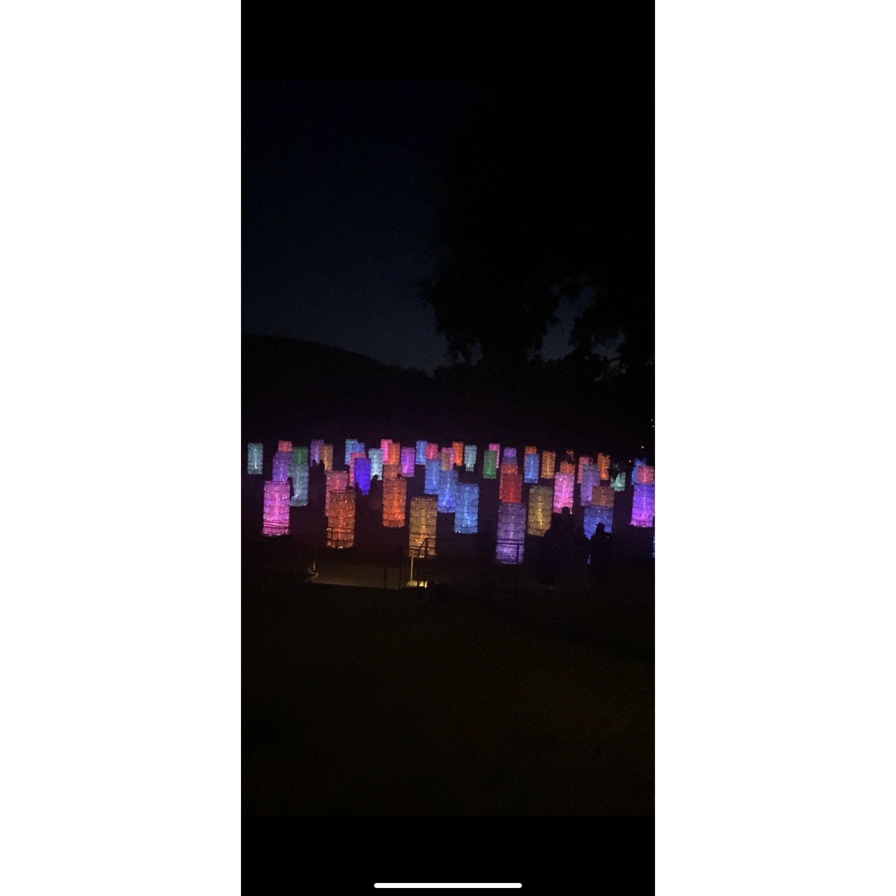 Sensorio lights where Sean proposed!