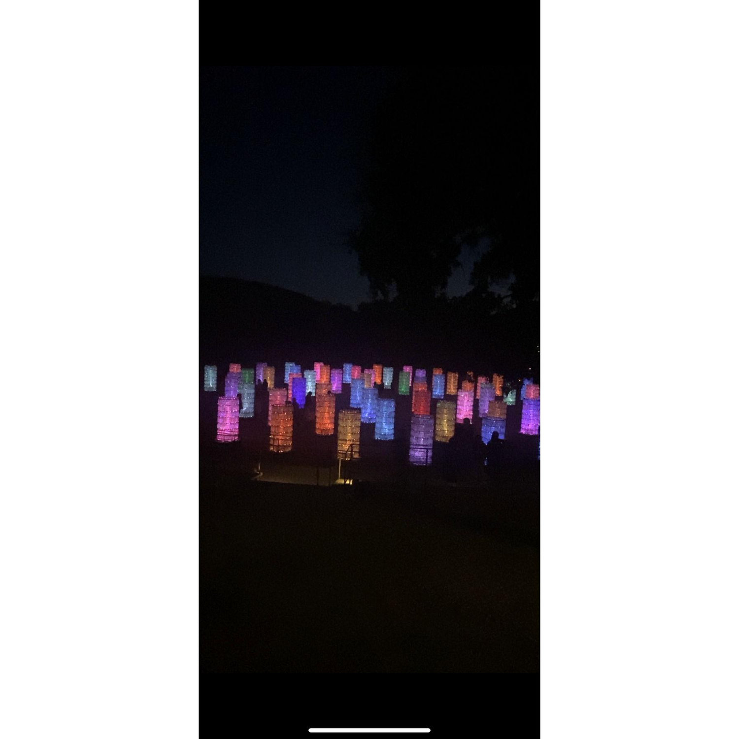 Sensorio lights where Sean proposed!