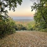 Percy Warner Park