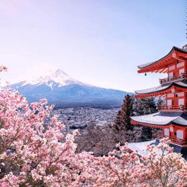 Honeymoon fund - Japan!