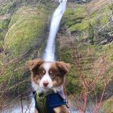 Multnomah Falls