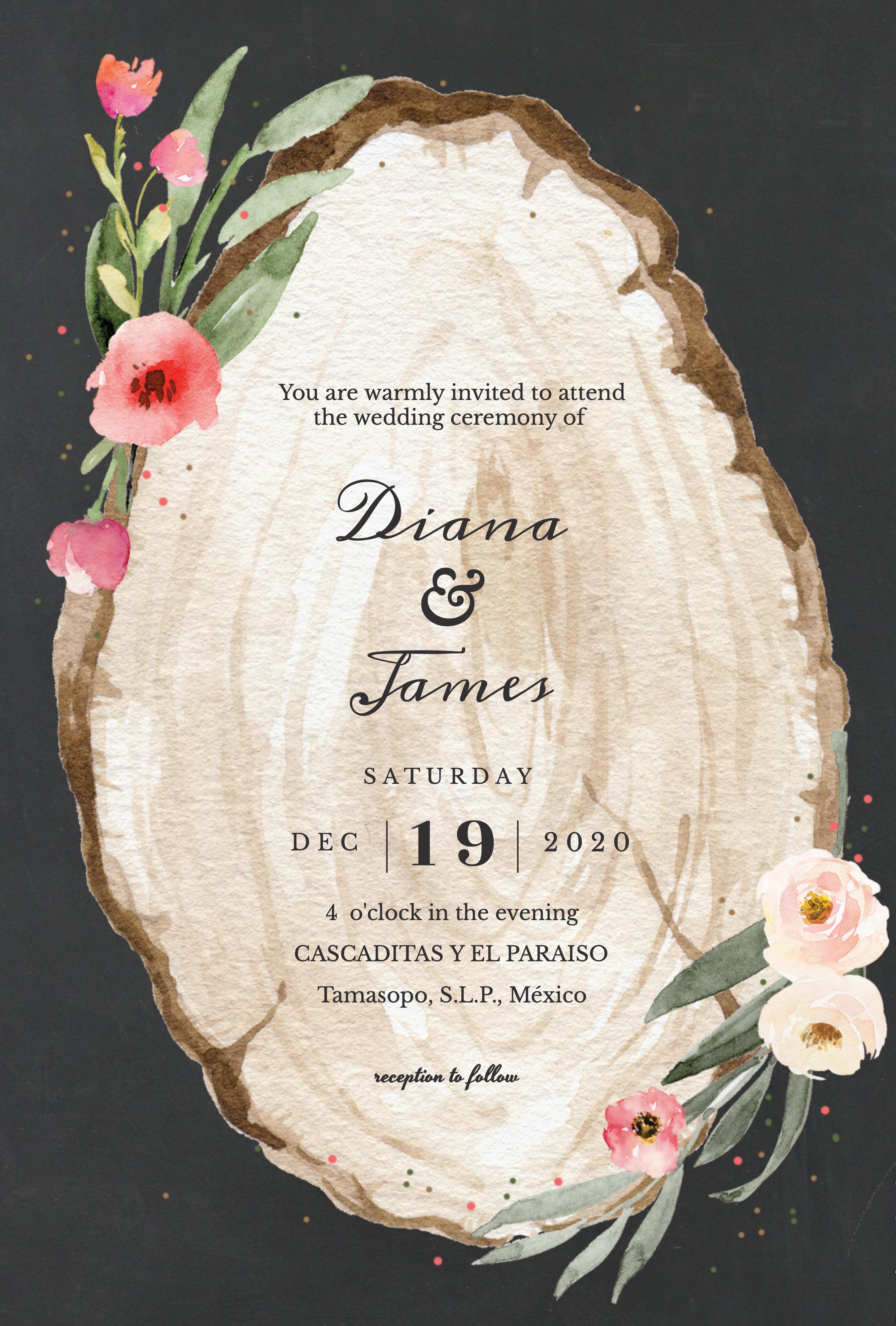The Wedding Website of Diana Hernandez and James Denesha