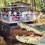 Jean Lafitte Swamp Tour