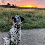 Cherry Creek State Park