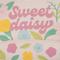 Sweet Daisy