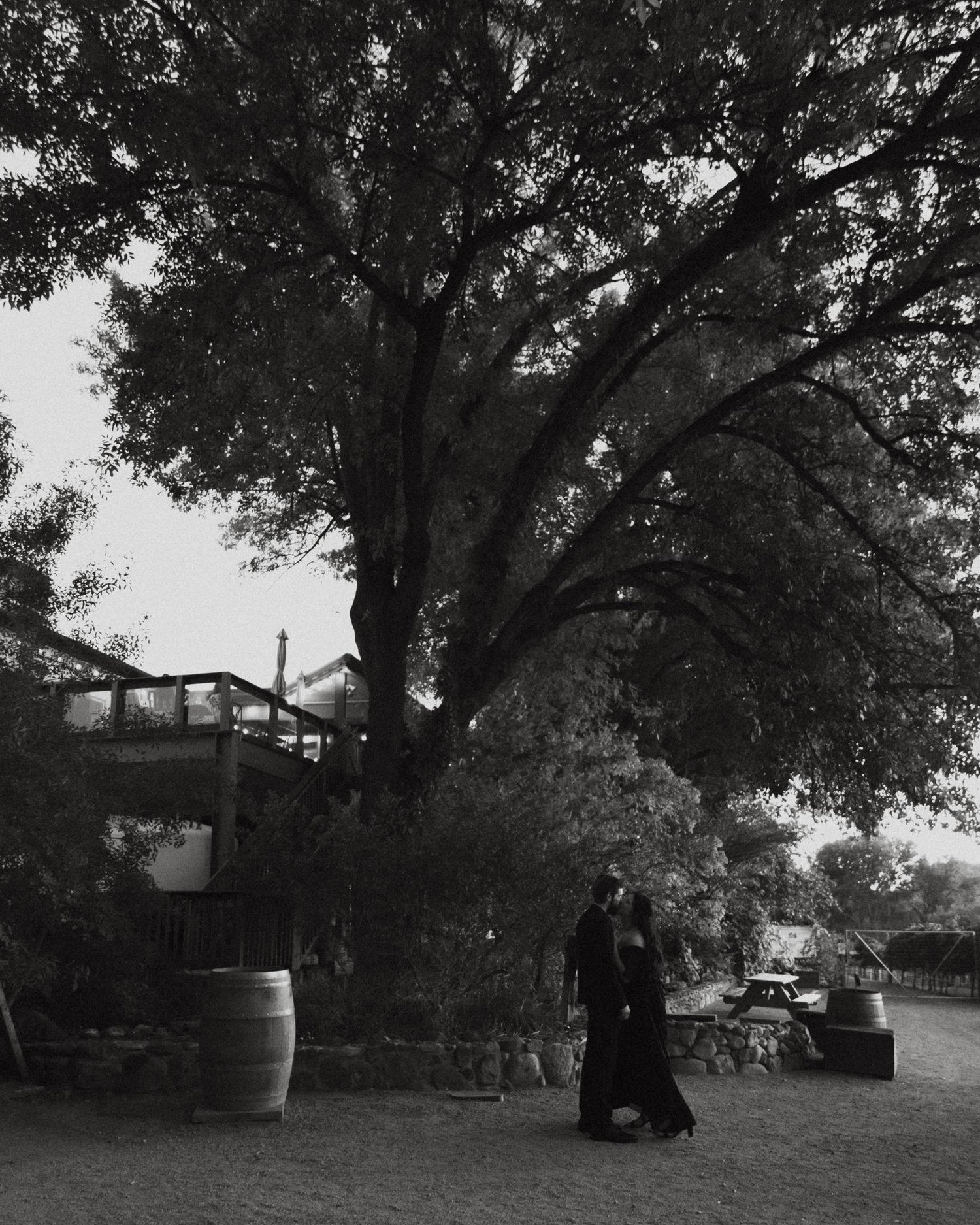 The Wedding Website of Hallie Owens and Dawson Mattox